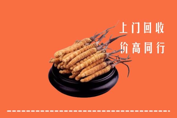 高价求购：泰安市岱岳区回收散虫草