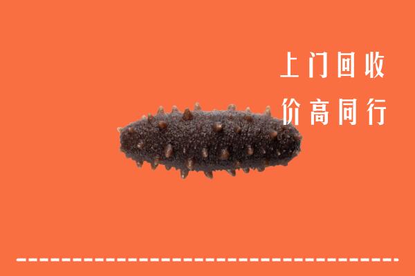 高价求购：泰安市岱岳区回收海参